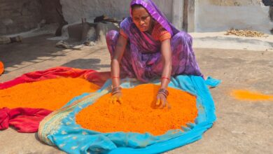 हर्बल गुलाल से और भी रंगीली होगी होली, विभिन्न रंगों और आकर्षक पैकेजिंग के साथ समूह द्वारा निर्मित हर्बल गुलाल हर्बल गुलाल से और भी रंगीली होगी होली, विभिन्न रंगों और आकर्षक पैकेजिंग के साथ समूह द्वारा निर्मित हर्बल गुलाल
