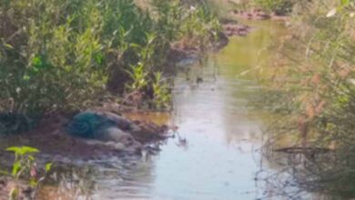 कुलगांव नाला से अज्ञात युवक का मिला शव