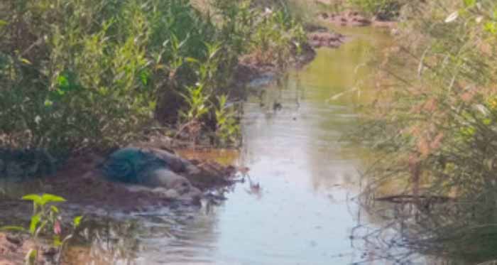 कुलगांव नाला से अज्ञात युवक का मिला शव