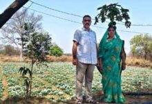 कुआं बना जीवन में बदलाव की वजह, अब सालभर खेती