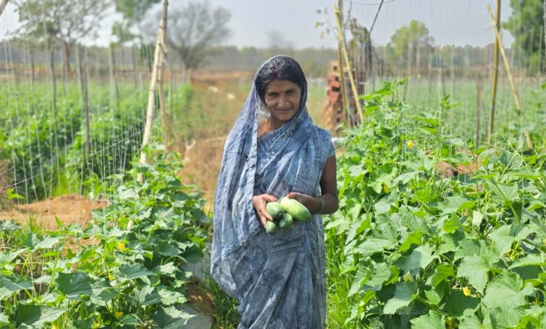 एक एकड़ खेत में धनेश्वरी कर रही हैं खीरे की खेती, अब खुद के साथ दूसरों को भी दे रहीं रोजगार