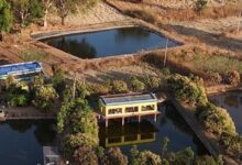 तालाब के ऊपर मुर्गी पालन कर खेती को और अधिक लाभकारी बनाया