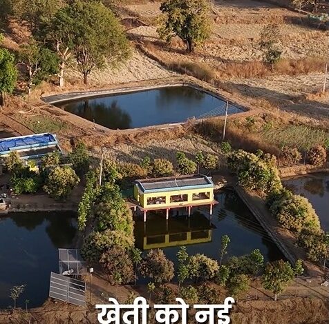 तालाब के ऊपर मुर्गी पालन कर खेती को और अधिक लाभकारी बनाया