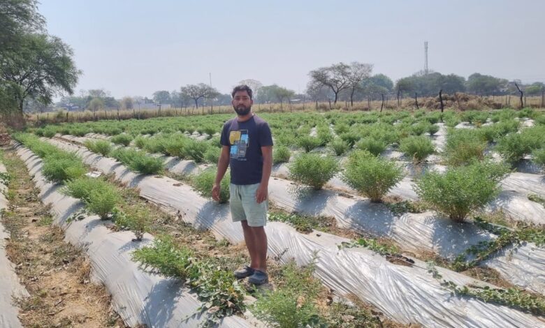 बी फार्मेसी पढ़े युवा रमेश प्रेमी ने खेती में तलाशा अपना भविष्य