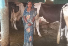 स्व-सहायता समूह से बदली जिंदगी, डेयरी और खेती से लखपति दीदी बनीं माधुरी