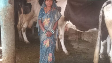स्व-सहायता समूह से बदली जिंदगी, डेयरी और खेती से लखपति दीदी बनीं माधुरी