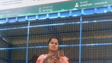 पशु सखी से सफल पशु उद्यमी बनीं नागेश्वरी वर्मा, बकरी पालन कर सालाना एक लाख से अधिक आय कर रही अर्जित