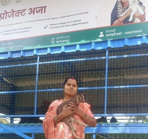 पशु सखी से सफल पशु उद्यमी बनी नागेश्वरी, बकरी पालन से कमा रही एक लाख से अधिक