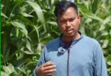 आधुनिक तकनीक से खेती को बनाया नया मॉडल किसान मुकेश ने