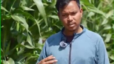 आधुनिक तकनीक से खेती को बनाया नया मॉडल किसान मुकेश ने