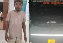 बेलगाम हाईवा ने 13 गायों को कुचला, 10 की मौत