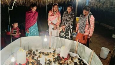 मुर्गीपालन से बदली अनुसुइया की जिंदगी, शासन के आर्थिक सहयोग और स्वयं की मेहनत से बनीं आत्मनिर्भर