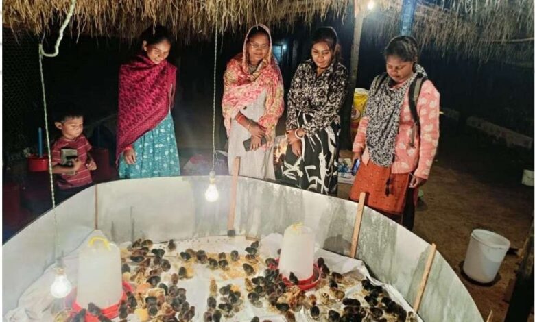 मुर्गीपालन से बदली अनुसुइया की जिंदगी, शासन के आर्थिक सहयोग और स्वयं की मेहनत से बनीं आत्मनिर्भर मुर्गीपालन से बदली अनुसुइया की जिंदगी, शासन के आर्थिक सहयोग और स्वयं की मेहनत से बनीं आत्मनिर्भर