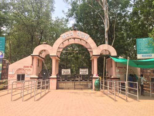 कानन-पेंडारी जू को बर्ड फ्लू के खतरे से बचने जू रहेगा एक हफ्ते के लिए बंद