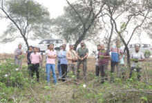 धरसीवां क्षेत्र की आर्द्रभूमियों को पक्षी अवलोकन केंद्र के रूप में विकसित करने की पहल