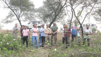 धरसीवां क्षेत्र की आर्द्रभूमियों को पक्षी अवलोकन केंद्र के रूप में विकसित करने की पहल