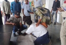 ट्रेन की चपेट में आने से आरक्षक मिंज की मौत