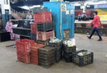 विशेष गहन अभियान में अनाधिकृत वेंडर एवं बिना लगेज बुक के फल पकडे गये