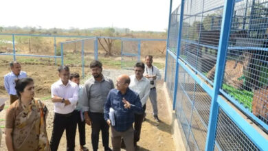 राज्य में बकरी पालन को बढ़ावा देने जिले के नवाचार प्रोजेक्ट अजा मॉडल का होगा विस्तार