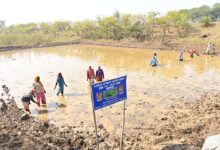 स्व-सहायता समूहों के माध्यम से आत्मनिर्भर बन रहीं धमतरी जिले की महिलाएं