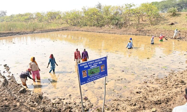 स्व-सहायता समूहों के माध्यम से आत्मनिर्भर बन रहीं धमतरी जिले की महिलाएं