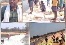 भैरमगढ़ के इंद्रावती नदी पर बोरियों में रेत भरकर पुल बनाने में जुटे सैकड़ो ग्रामीण