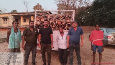 पलाश प्रजाति की 2 नग जलाऊ चट्टा लकड़ी के साथ आरोपी गिरफ्तार