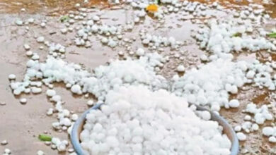 धमतरी में गिरे ओले, राजधानीवासियों को मिली गर्मी से राहत धमतरी में गिरे ओले, राजधानीवासियों को मिली गर्मी से राहत