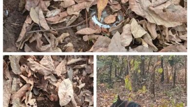 नक्सलियों द्वारा लगाए गए तीन आईईडी बरामद