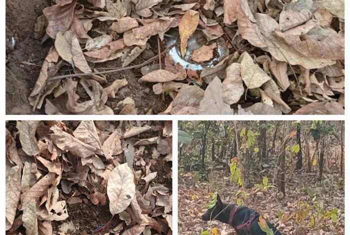 नक्सलियों द्वारा लगाए गए तीन आईईडी बरामद