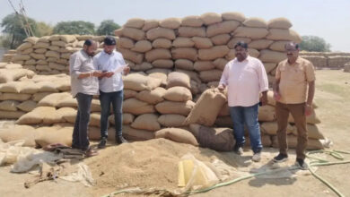 भलेरा धान खरीदी केंद्र में धान को पानी से गिला करने की शिकायत सही पाये जाने पर , दोषियों पर होगी सख्त कार्रवाई