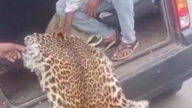 वन्य प्राणी तेंदुए की खाल के साथ 7 आरोपी गिरफ्तार