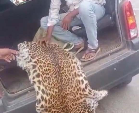 वन्य प्राणी तेंदुए की खाल के साथ 7 आरोपी गिरफ्तार