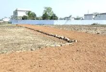 धमतरी और कांकेर जिलों में अवैध प्लाटिंग पर विपक्ष ने किया सदन से वॉकआउट