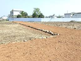 धमतरी और कांकेर जिलों में अवैध प्लाटिंग पर विपक्ष ने किया सदन से वॉकआउट