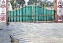 मगरमच्छ संरक्षण से बदली कोटमीसोनार की तस्वीर, पर्यटन और रोजगार को मिला बढ़ावा