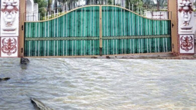 मगरमच्छ संरक्षण से बदली कोटमीसोनार की तस्वीर, पर्यटन और रोजगार को मिला बढ़ावा मगरमच्छ संरक्षण से बदली कोटमीसोनार की तस्वीर, पर्यटन और रोजगार को मिला बढ़ावा