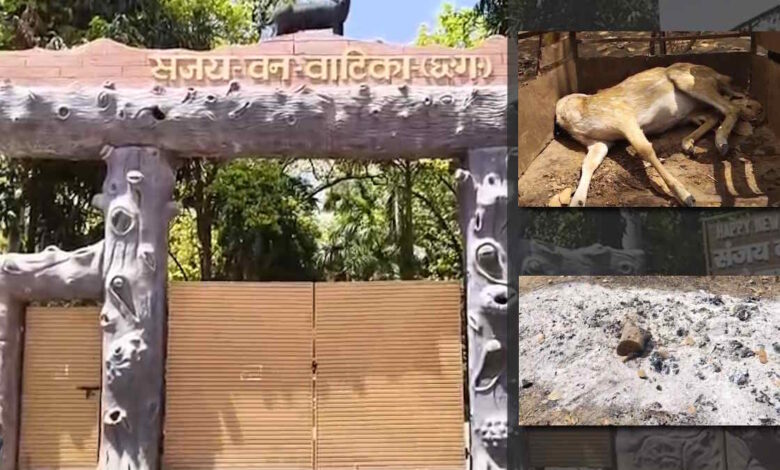 15 हिरणों की मौत के बाद प्रभारी समेत 4 कर्मचारी निलंबित