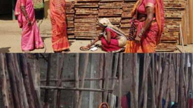 साझी मेहनत, साझा समृद्धि — बिहान से बदल रहा ग्रामीण महिला जीवन