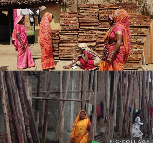 साझी मेहनत, साझा समृद्धि — बिहान से बदल रहा ग्रामीण महिला जीवन साझी मेहनत, साझा समृद्धि — बिहान से बदल रहा ग्रामीण महिला जीवन