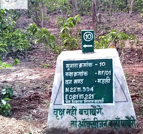 वनों की सुरक्षा को मिला नया कवच- 227 मुनारों का निर्माण पूर्ण