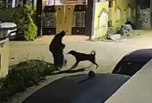 पालतू कुत्ते ने सड़क से गुजर रहे लोगों पर किया हमला