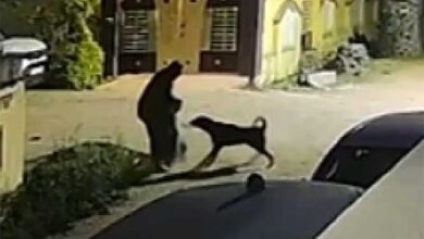 पालतू कुत्ते ने सड़क से गुजर रहे लोगों पर किया हमला पालतू कुत्ते ने सड़क से गुजर रहे लोगों पर किया हमला