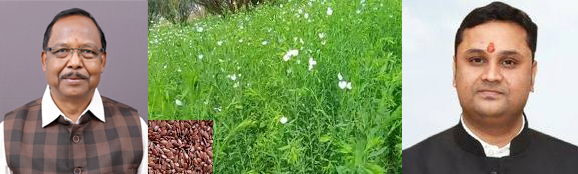 अलसी के बीज उत्पादन में गड़बड़ी की होगी जांच – मंत्री नेताम