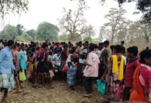 बिचौलियों की भूमिका समाप्त करने सभी तेंदूपत्ता संग्राहकों के बैंक खाते खुलवाए जा रहे