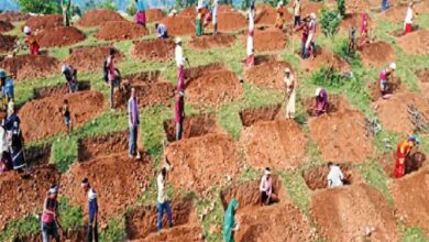 जल संरक्षण के लिए पहाडिय़ों पर कंटूर ट्रेंच का किया जा रहा निर्माण