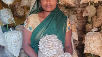 मजदूरी से मशरूम उत्पादन और अब स्वयं की दुकान से लखपति दीदी बनीं बृहस्पति धुर्वे