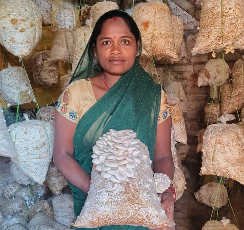 मजदूरी से मशरूम उत्पादन और अब स्वयं की दुकान से लखपति दीदी बनीं बृहस्पति धुर्वे