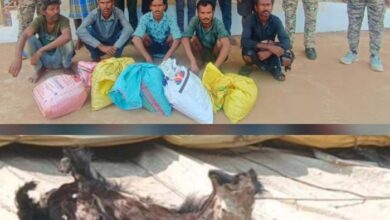 वन्य प्राणी भालू का शिकार कर खाल की तस्करी करने वाले 11 आरोपी गिरफ्तार