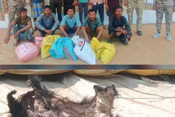 वन्य प्राणी भालू का शिकार कर खाल की तस्करी करने वाले 11 आरोपी गिरफ्तार